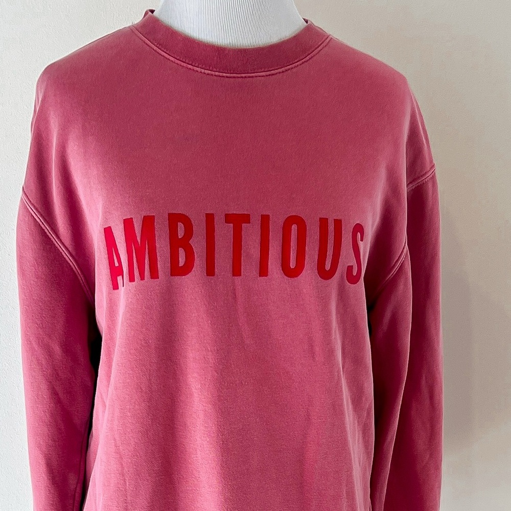 Phenomenal Ambitious Graphic Crewneck Dusty Rose Pink and Red Sweatshirt Small